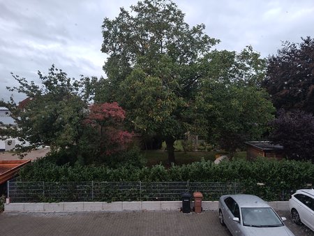 Baum-S20.jpg