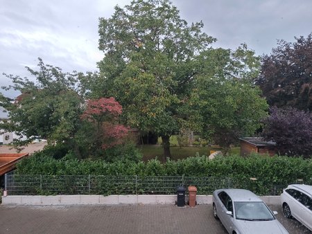 Baum-S20-Nachtmodus.jpg