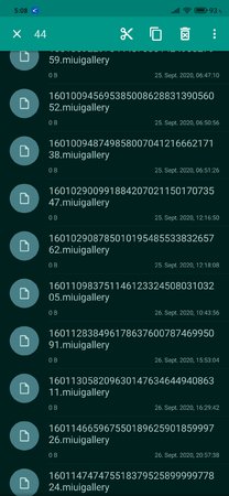 Screenshot_2020-10-08-05-08-54-751_pl.solidexplorer2.jpg