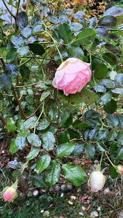 P_20201012_174753.jpg