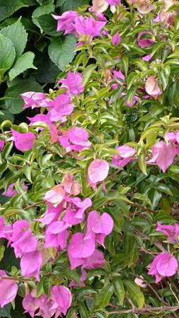 P_20201013_092653.jpg