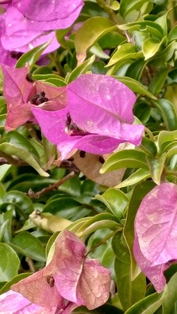 P_20201013_092709.jpg