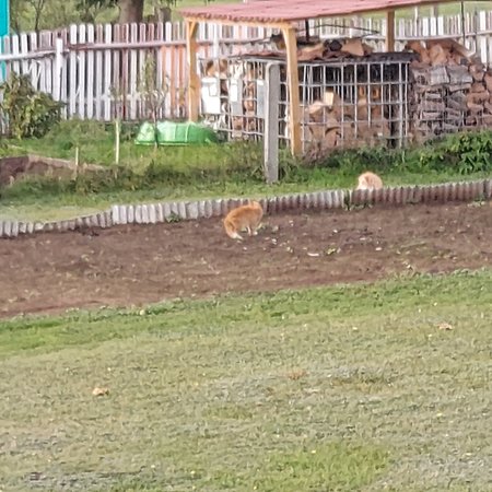 20201013_165456.jpg