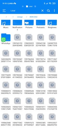 Screenshot_2020-10-14-09-10-06-264_com.rs.explorer.filemanager.jpg