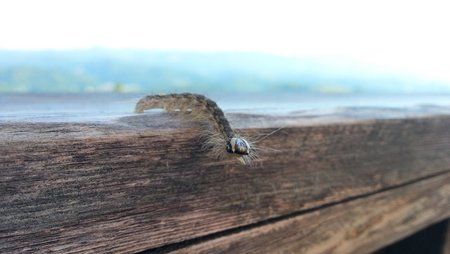 20120617_171650.jpg