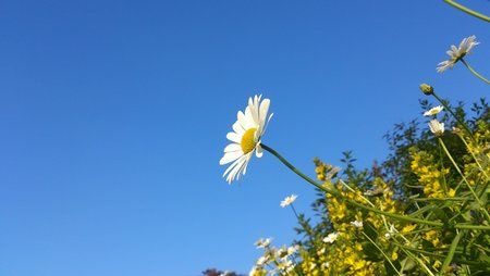 DSC_0078.jpg