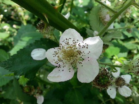 20120621_105333.jpg