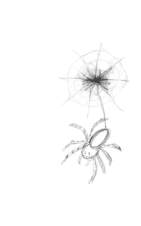 spider.png