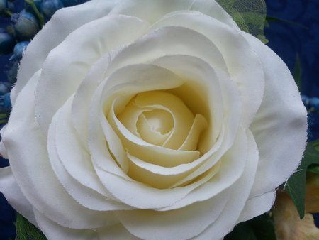 20120622_150223.jpg