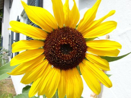 20120623_114059.jpg