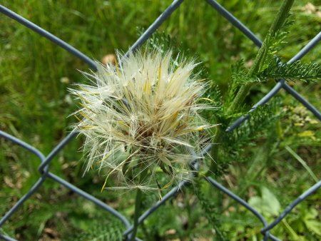 20120623_114001.jpg