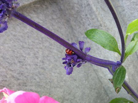 20120623_121412.jpg