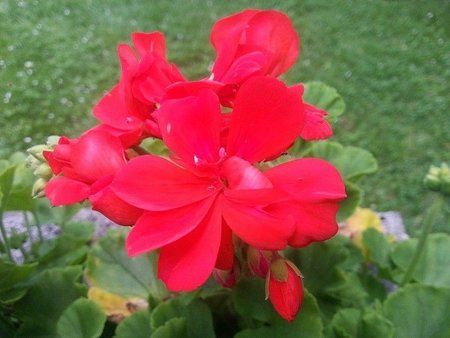 20120623_180102.jpg