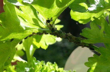 20120623_091556.jpg