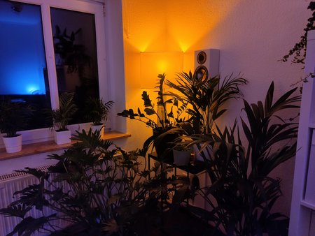 IMG20201016200856.jpg