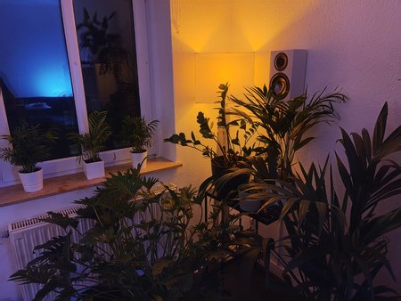 IMG20201016223611.jpg