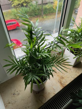 IMG20201017093500.jpg