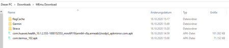Result_in_Downloads_Win.png