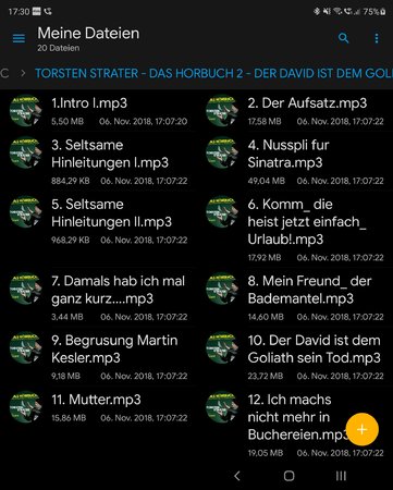 Screenshot_20201018-173100_Solid Explorer.jpg