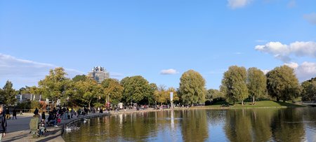 IMG_20201018_165044.jpg