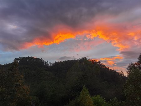 IMG_20201019_193734.jpg