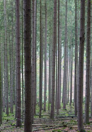 DSC_0014~2.JPG