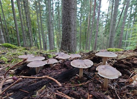 DSC_0026~2.JPG