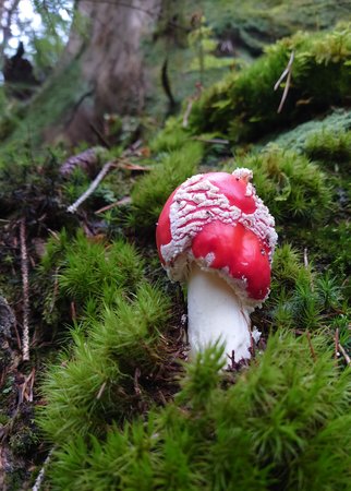 DSC_0020~2.JPG