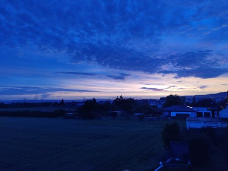 IMG_20201020_074554.jpg