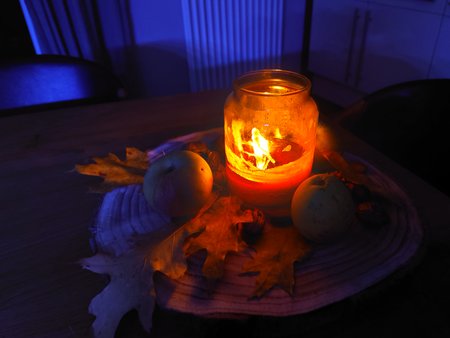 20201020_212553.JPG