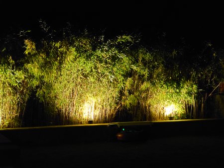DSC_0043.JPG