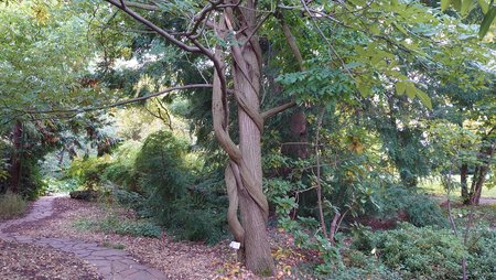 DSC_0026.JPG