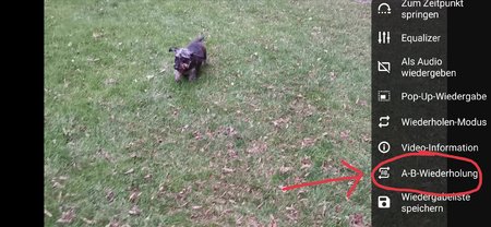 Screenshot_20201022_122325.jpg