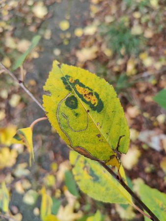 IMG_20201022_162906.jpg