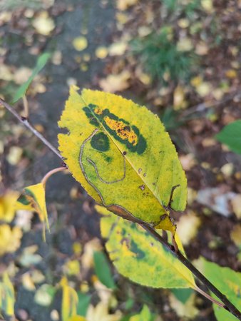 IMG20201022162918.jpg