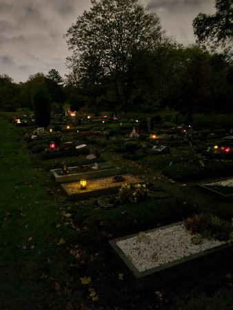 20201022_202403.jpg