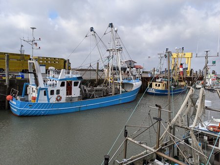 PXL_20201022_110336957.jpg