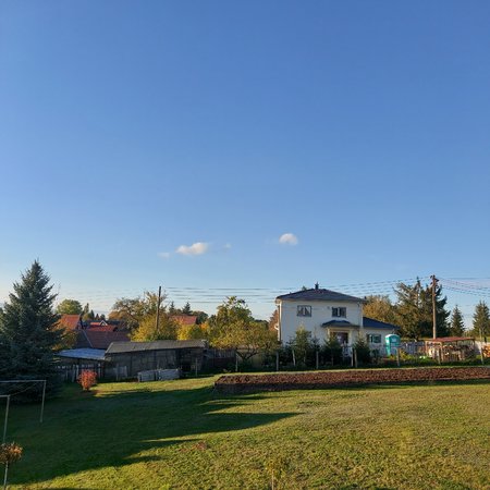 20201024_164956.jpg