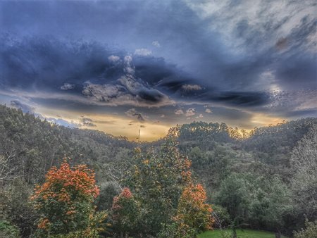 IMG_20201024_190008-01.jpeg