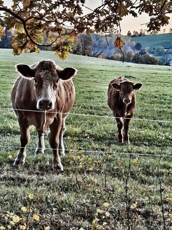 IMG_20201024_180857-01.jpeg