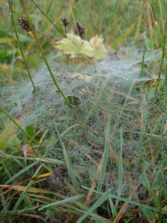DSC_0065.JPG