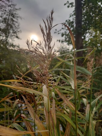 DSC_0063.JPG