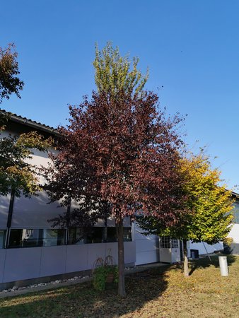 IMG_20201025_145608.jpg