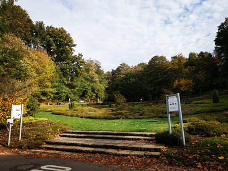 2020-10-26_Spaziergang-im-Deutsch-Franzoesischen-Garten_26.jpg