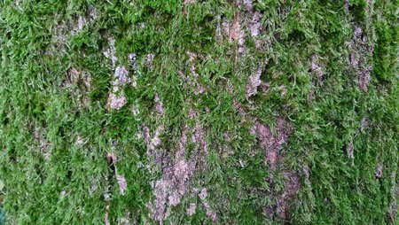 20201025_155912.jpg