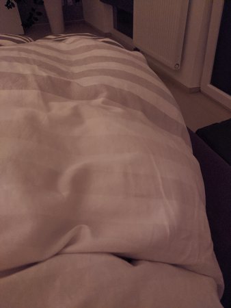 IMG_20201028_062137.jpg