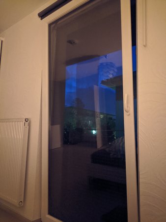 IMG_20201028_061803.jpg