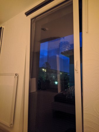 IMG_20201028_061826.jpg