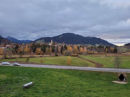 20201028_165410.jpg