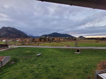 20201028_165421.jpg